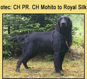 AMohito to Royal Silk