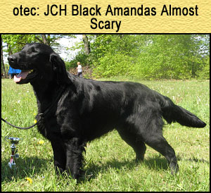 Black Amandas Almost Scary