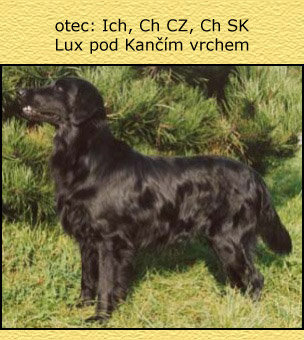 Lux pod Kančím vrchem